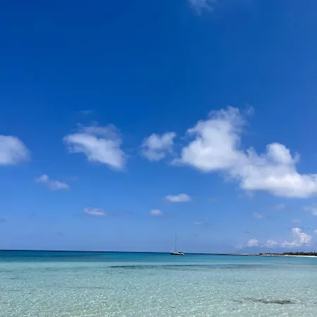 Fronte Mare Apartman *